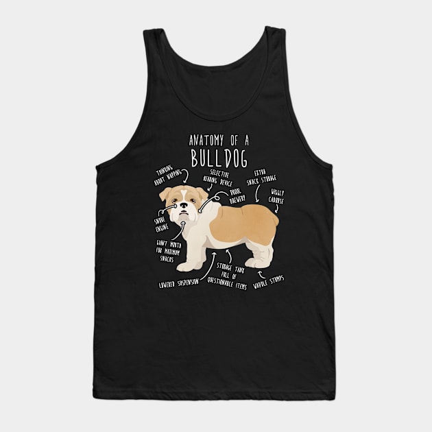 English Bulldog Fawn and White Dog Anatomy Tank Top by Psitta